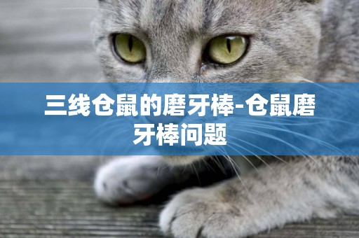 三線倉鼠的磨牙棒-倉鼠磨牙棒問題