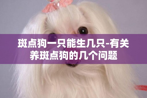 斑點狗一只能生幾只-有關養斑點狗的幾個問題