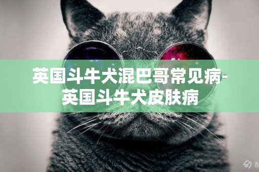 英國斗牛犬混巴哥常見病-英國斗牛犬皮膚病