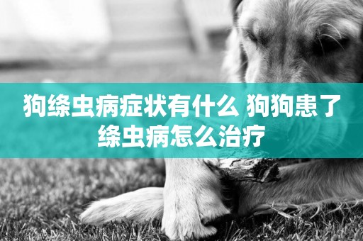 狗絳蟲病癥狀有什么 狗狗患了絳蟲病怎么治療