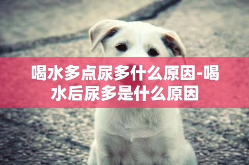 喝水多點尿多什么原因-喝水后尿多是什么原因