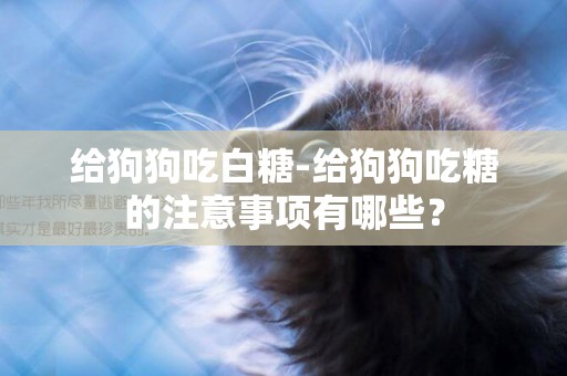 給狗狗吃白糖-給狗狗吃糖的注意事項有哪些？