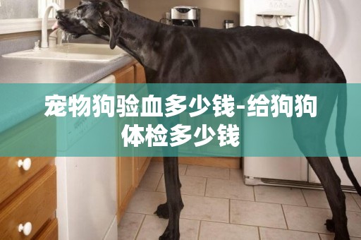 寵物狗驗血多少錢-給狗狗體檢多少錢