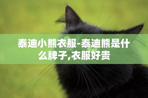 泰迪小熊衣服-泰迪熊是什么牌子,衣服好貴