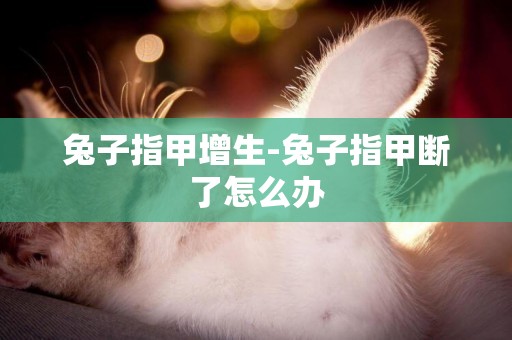 兔子指甲增生-兔子指甲斷了怎么辦