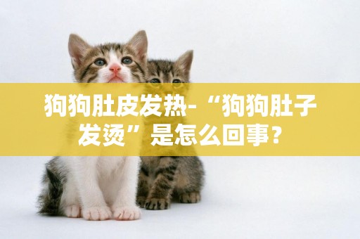 狗狗肚皮發熱-“狗狗肚子發燙”是怎么回事？