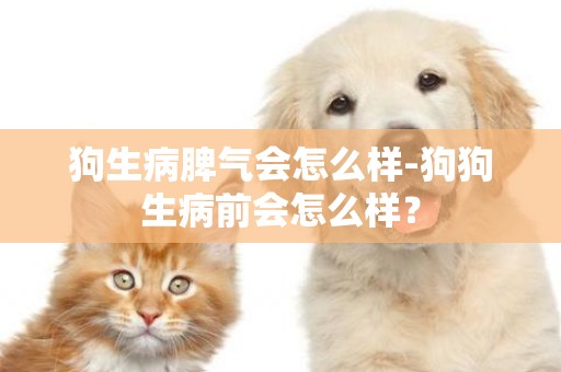 狗生病脾氣會怎么樣-狗狗生病前會怎么樣？
