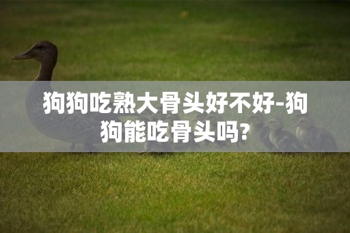 狗狗吃熟大骨頭好不好-狗狗能吃骨頭嗎?