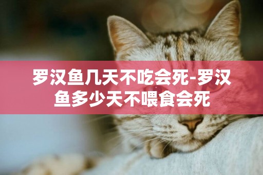 羅漢魚幾天不吃會死-羅漢魚多少天不喂食會死