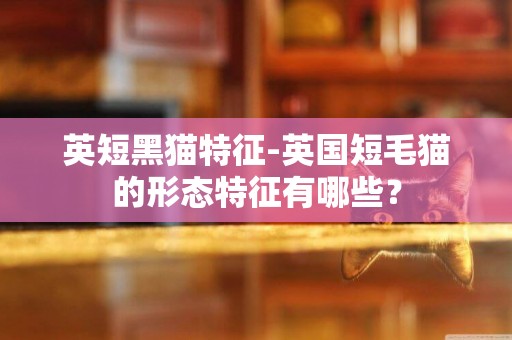 英短黑貓特征-英國短毛貓的形態特征有哪些？