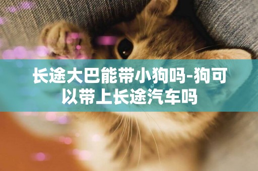 長途大巴能帶小狗嗎-狗可以帶上長途汽車嗎