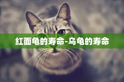 紅面龜的壽命-烏龜的壽命