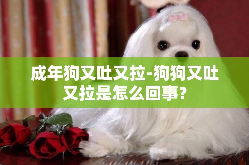 成年狗又吐又拉-狗狗又吐又拉是怎么回事？