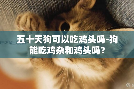 五十天狗可以吃雞頭嗎-狗能吃雞雜和雞頭嗎？