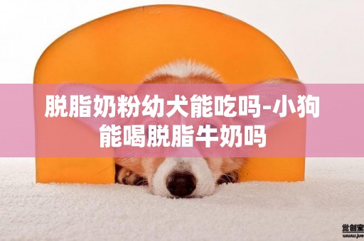脫脂奶粉幼犬能吃嗎-小狗能喝脫脂牛奶嗎