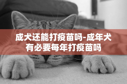 成犬還能打疫苗嗎-成年犬有必要每年打疫苗嗎