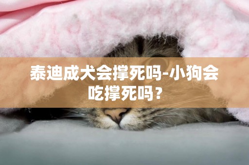 泰迪成犬會撐死嗎-小狗會吃撐死嗎？