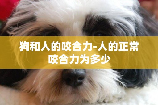 狗和人的咬合力-人的正常咬合力為多少