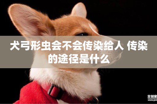 犬弓形蟲會不會傳染給人 傳染的途徑是什么