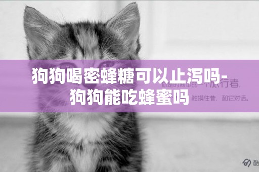 狗狗喝密蜂糖可以止瀉嗎-狗狗能吃蜂蜜嗎