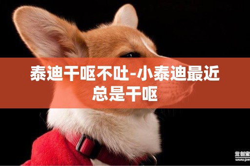 泰迪干嘔不吐-小泰迪最近總是干嘔