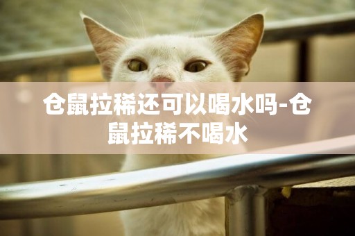 倉鼠拉稀還可以喝水嗎-倉鼠拉稀不喝水
