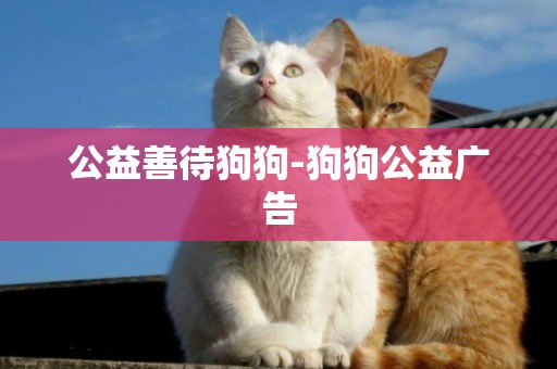 公益善待狗狗-狗狗公益廣告