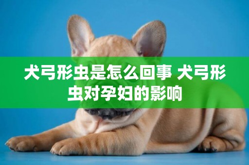 犬弓形蟲是怎么回事 犬弓形蟲對孕婦的影響