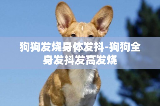 狗狗發燒身體發抖-狗狗全身發抖發高發燒