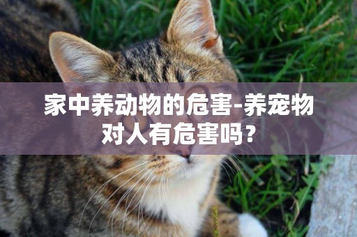 家中養動物的危害-養寵物對人有危害嗎？