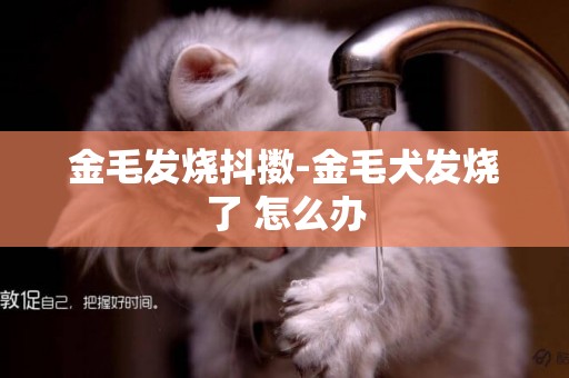 金毛發燒抖擻-金毛犬發燒了 怎么辦