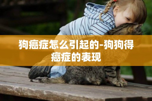 狗癌癥怎么引起的-狗狗得癌癥的表現