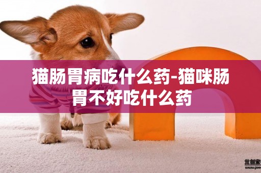 貓腸胃病吃什么藥-貓咪腸胃不好吃什么藥