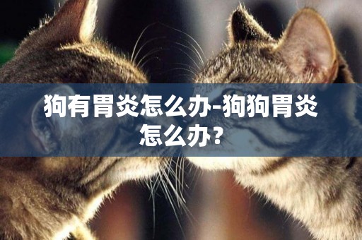 狗有胃炎怎么辦-狗狗胃炎怎么辦？