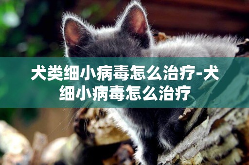 犬類細小病毒怎么治療-犬細小病毒怎么治療
