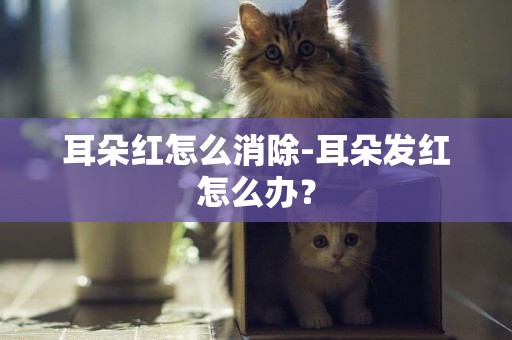 耳朵紅怎么消除-耳朵發紅怎么辦？