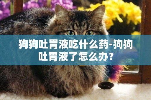 狗狗吐胃液吃什么藥-狗狗吐胃液了怎么辦？