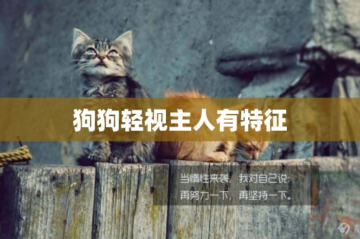 狗狗輕視主人有特征