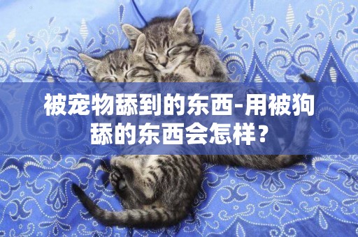 被寵物舔到的東西-用被狗舔的東西會怎樣？