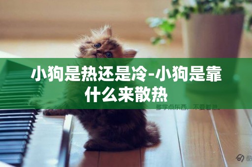 小狗是熱還是冷-小狗是靠什么來散熱