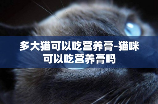多大貓可以吃營養膏-貓咪可以吃營養膏嗎
