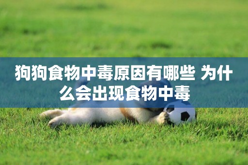 狗狗食物中毒原因有哪些 為什么會出現食物中毒 狗狗食物中毒原因有哪些 為什么會出現食物中毒
