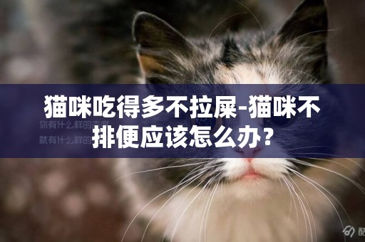 貓咪吃得多不拉屎-貓咪不排便應該怎么辦？