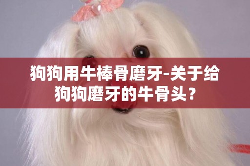 狗狗用牛棒骨磨牙-關于給狗狗磨牙的牛骨頭？