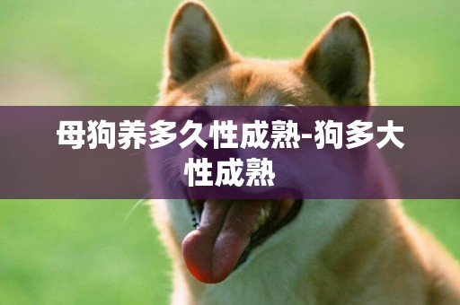 母狗養多久性成熟-狗多大性成熟