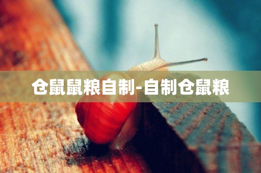 倉鼠鼠糧自制-自制倉鼠糧