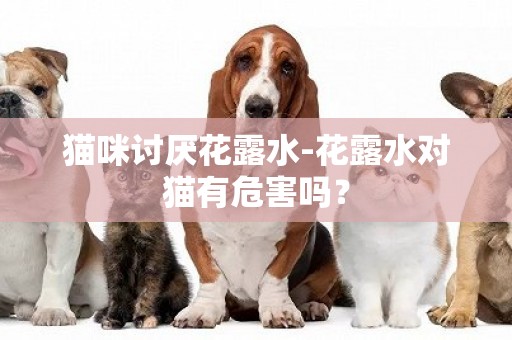 貓咪討厭花露水-花露水對貓有危害嗎？