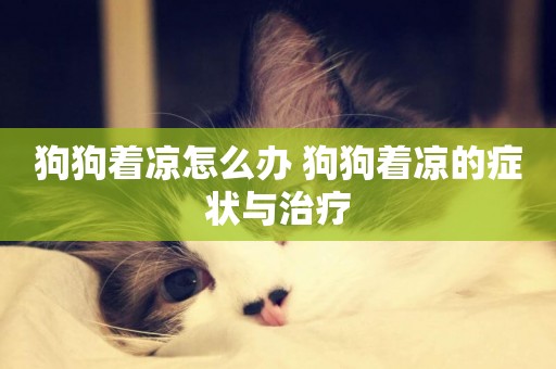 狗狗著涼怎么辦 狗狗著涼的癥狀與治療