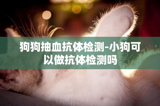 狗狗抽血抗體檢測-小狗可以做抗體檢測嗎