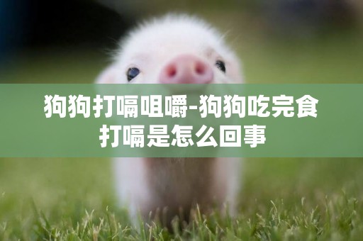 狗狗打嗝咀嚼-狗狗吃完食打嗝是怎么回事